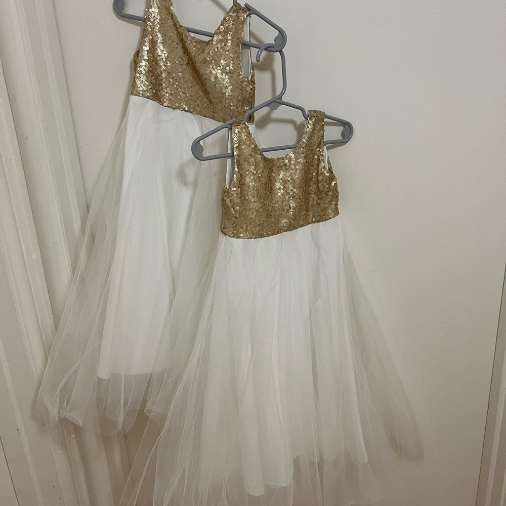 3t Formal Dresses (Flower Girl dresses for twins)